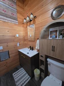 a bathroom with a toilet and a sink at Cozy Forest Cabin with Hot Tub in Central Flagstaff in Flagstaff +50 photos