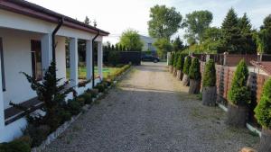 a driveway leading to a house with christmas trees at Pokoje u Niny in Nowe Rumunki