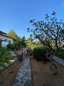 a garden with a stone path and trees and a house at Casa Sciavè - Paradise in Sciacca in Sciacca