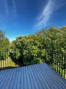 a wooden deck with a black fence and trees at Apartment in the city center near park and river 26 in Marijampolė +3 photos