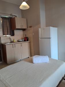 a kitchen with a white refrigerator and a sink at House Psichoula in Sarti