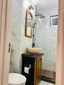 a bathroom with a sink and a toilet at Wood&Light in Hunedoara