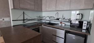 a kitchen with a counter top with a microwave at LuckyCat Apartment in Osijek