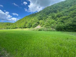 a field of green grass with a mountain in the background at Auto camp Harun&Omar in Orašac