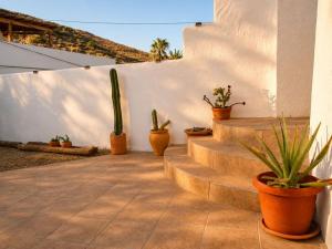 a set of stairs with potted plants next to a wall at Refugio rural en Níjar con jardín privado barbacoa y solarium con vistas únicas in Níjar
