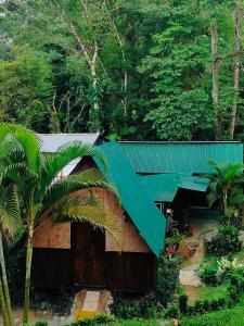 a building with a green roof and a palm tree at Chalets río celeste byl in Rio Celeste