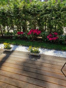 two potted plants on a wooden deck with flowers at Apartament BLASK Jeziora in Augustów +35 photos