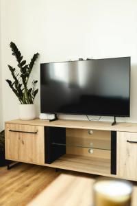 a flat screen tv sitting on top of a wooden entertainment center at Malé Lipno 1085 in Černá v Pošumaví