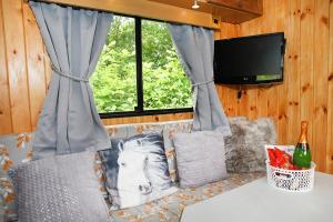 a couch with pillows and a television and a window at Tarka Trail Horsebox - Hot Tub & Pet proof garden in Littleham
