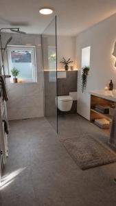 a bathroom with a shower with a toilet and a sink at Chalet Rebenruhe Südsteiermark in Praratheregg