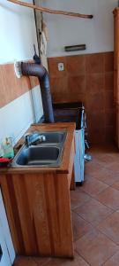 a kitchen with a sink and a stove at U Kameníků in Lhenice