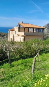 a house on a hill with trees in front of it at Casa vacanze Torre in Cefalù