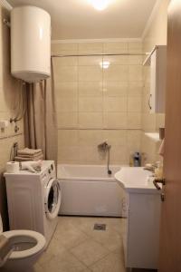 a bathroom with a toilet and a washing machine at PivApart Plužine in Plužine +33 photos