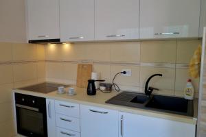 a kitchen with a sink and a counter top at PivApart Plužine in Plužine