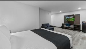 a hotel room with a bed and a tv and a chair at Chandigarh Hotel in Chandīgarh