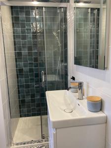 a bathroom with a sink and a glass shower at Appartement avec espace jacuzzi et terrasse in Rians +10 photos