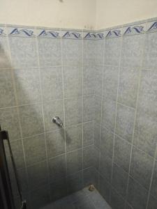 a bathroom with a shower with blue tiles at Dollar in Liberia