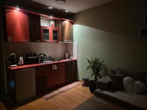 a kitchen with a counter and a couch in a room at Bella Verde in Vrnjačka Banja