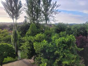 an overhead view of a garden with trees at ZiRALLA in Allariz +5 photos