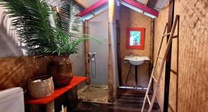 a bathroom with a potted plant and a sink at Oasis 56 Aéroport Tontouta in La Tontouta +22 photos