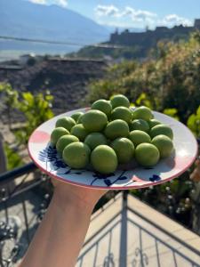 a person holding a plate of green apples at Guest House Mene in Gjirokastër