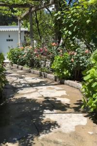 a garden with flowers and plants on a sidewalk at Guest House Mene in Gjirokastër
