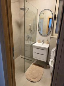 a bathroom with a shower and a sink and a mirror at Stan Kumbor sa dvije spavace sobe in Kumbor