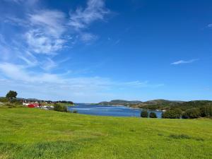 a view of a lake from a grassy hill at Huset Heimstad i Herfjord in Skippervik