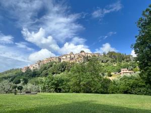 a building on top of a hill with a green field at Villa Valle Tassignana in Casperia