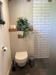 a bathroom with a toilet and a plant on the wall at Vikend kuća Millina in Sumbulovac +22 photos
