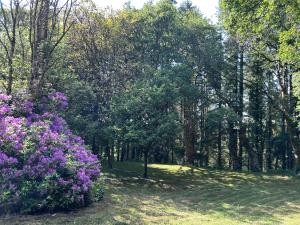 a park with trees and purple flowers in the grass at Le Breizh des Bois in Le Faouët +14 photos