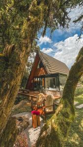 a house with two chairs and a bench in front of it at Lumine Cabanas- Chalé na Serra Gaúcha in Farroupilha