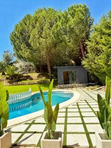 a swimming pool in a yard with trees at Luna House Sevilla in Guillena