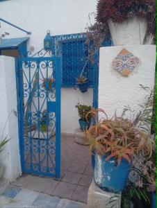 a blue gate with potted plants next to a door at Summer House in Dar Salah Bey