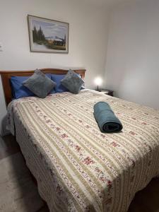 a bed with a green pillow on top of it at La Casita Austral in Punta Arenas