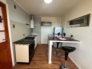 a small kitchen with a stove and a counter at La Casita Austral in Punta Arenas