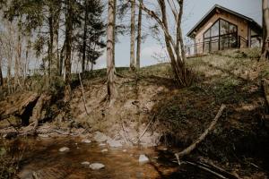 a house on the side of a hill with trees at Nitaure Glamping in Viļums +10 photos