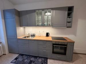 a kitchen with blue cabinets and a sink at Abeilles in La Chaux-de-Fonds +11 photos