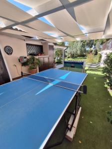 a ping pong table in a backyard with a ping pong ball at I Giardini di BeCa in Palidoro