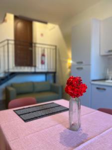a vase with red flowers sitting on a table at Casa Bellini in Gallinaro