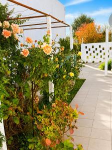 a bunch of flowers are growing in a garden at Alojamiento Uruguay in Santa Rosa +3 photos
