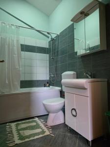 a bathroom with a pink toilet and a sink at Prespa Lakeview Villa in Resen +14 photos