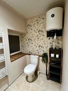 a small bathroom with a toilet and a television at Cozy studio in Millières