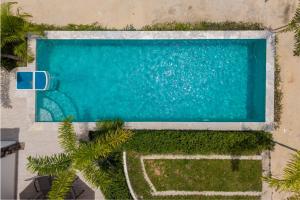an overhead view of a swimming pool with green plants at Villa Kiru in Koh Samui