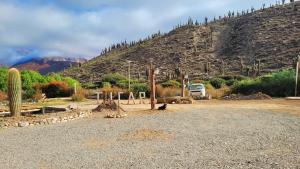a desert with a mountain and animals in a field at Al Pie del Pucara in Tilcara +28 photos