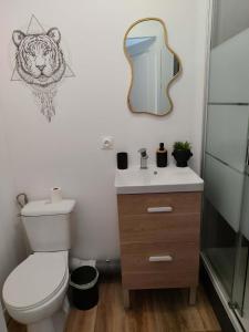 a bathroom with a toilet and a sink and a mirror at Chambre jungle in Calais +7 photos