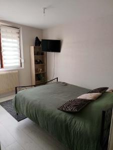 a bedroom with a bed with a green comforter at Chambre jungle in Calais
