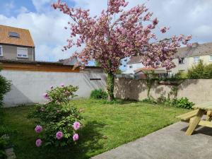 a tree with pink flowers in a yard with a bench at Chambre jungle in Calais