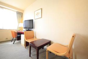 TV a/nebo společenská místnost v ubytování Fujinomiya Green Hotel