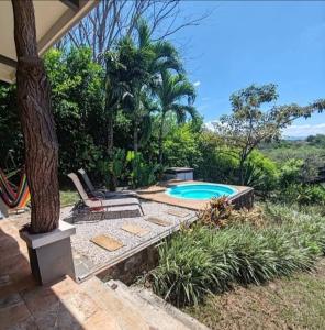 a backyard with a swimming pool and a tree at Casa Mango in Florencia